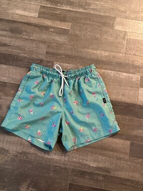 Men’s Aqua Flamingo Swim Trunks with Drawstring